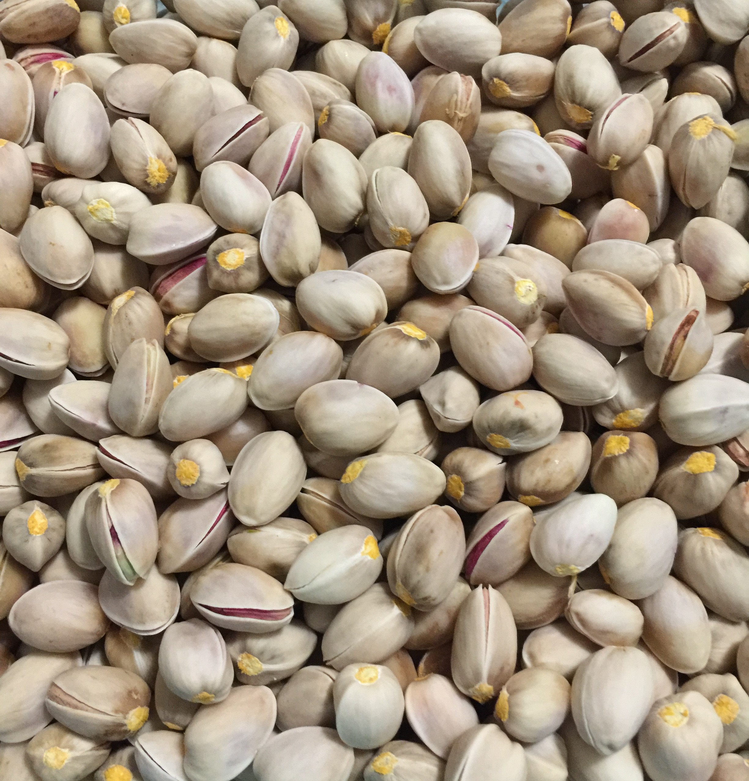 002 PISTACHO CON CÁSCARA ECOLÓGICO TOSTADO CON SAL 250 GRAMOS - Imagen 2